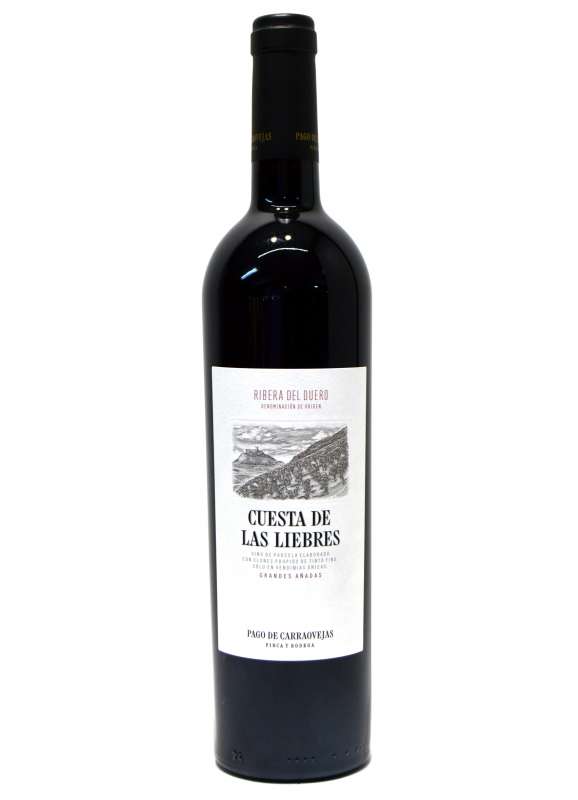  Cuesta de las Liebres - Pago Carraovejas