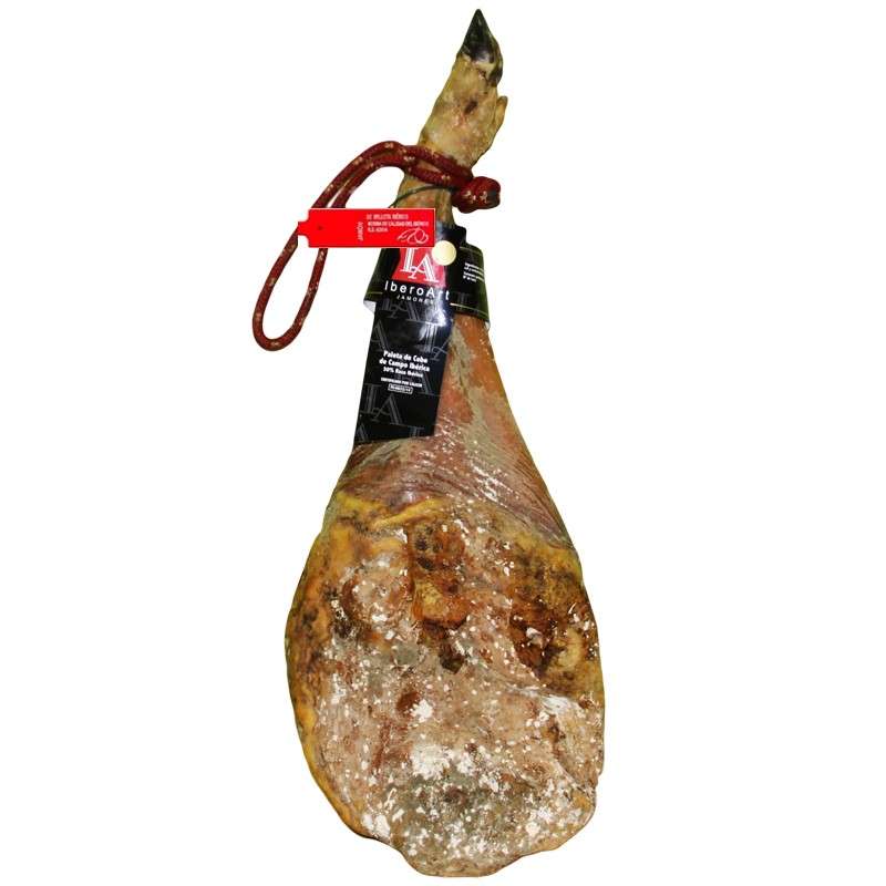 IBEROART