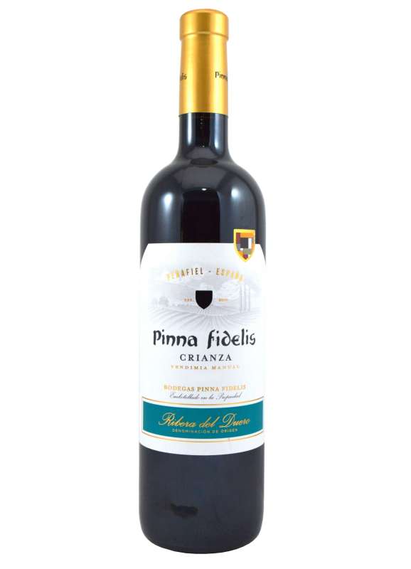 Pinna Fidelis  2021 - 3 Uds.