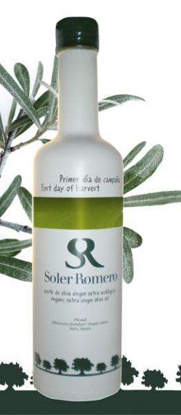 Soler Romero, Primer día de campaña