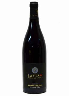 Vin Lavia +
