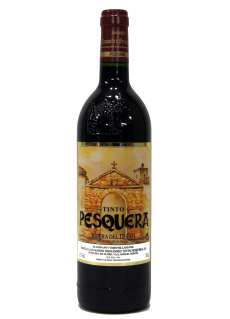 Vin Remírez de Ganuza