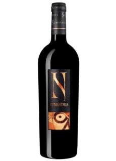 Vin roșu Valenciso 10 Años Después