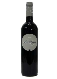 Vin San Román