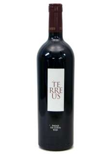 Vin Terreus